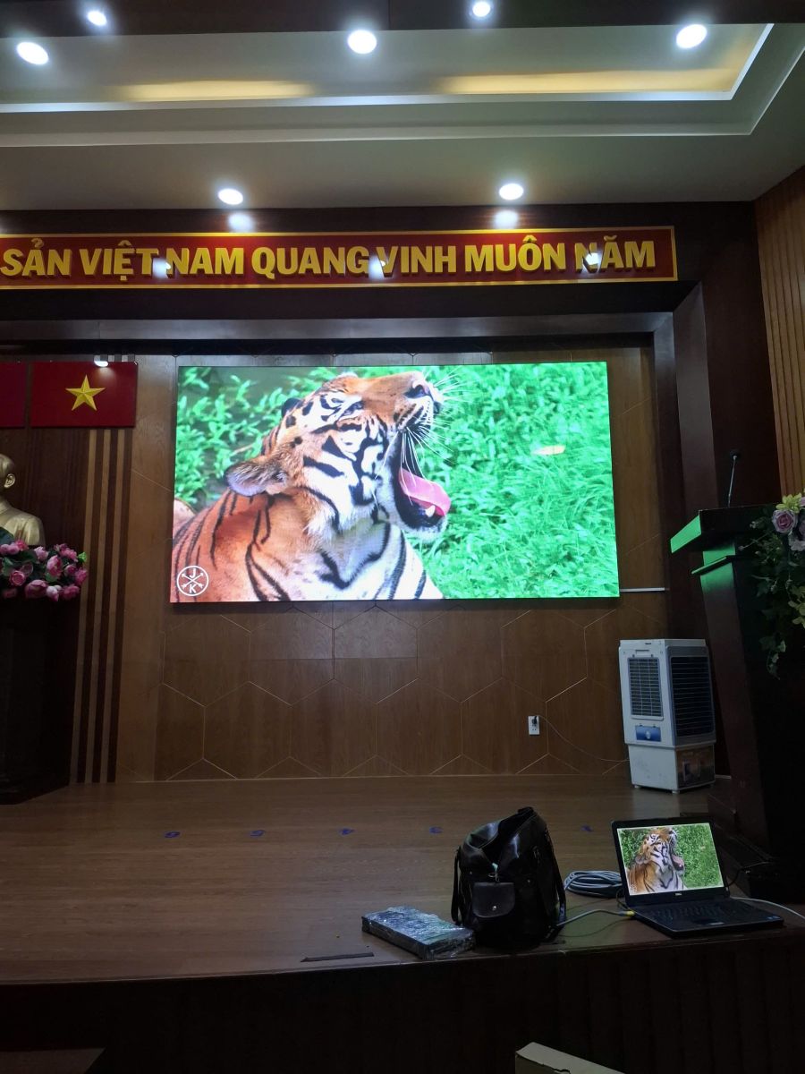Thi công lắp đặt màn hình LED tại tp hcm