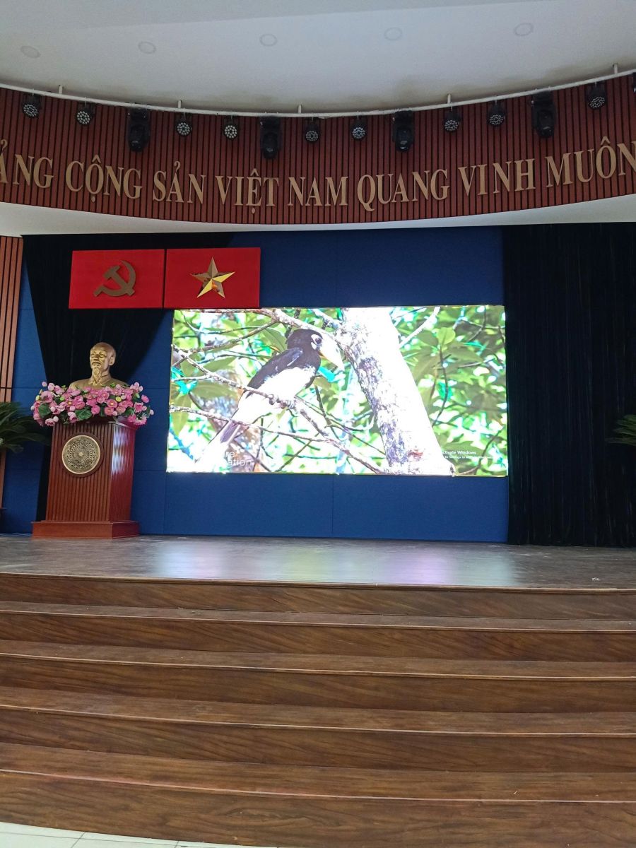 Màn hình led hội trường lớn